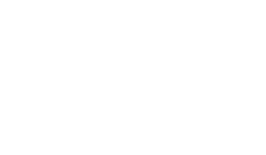 The Connection